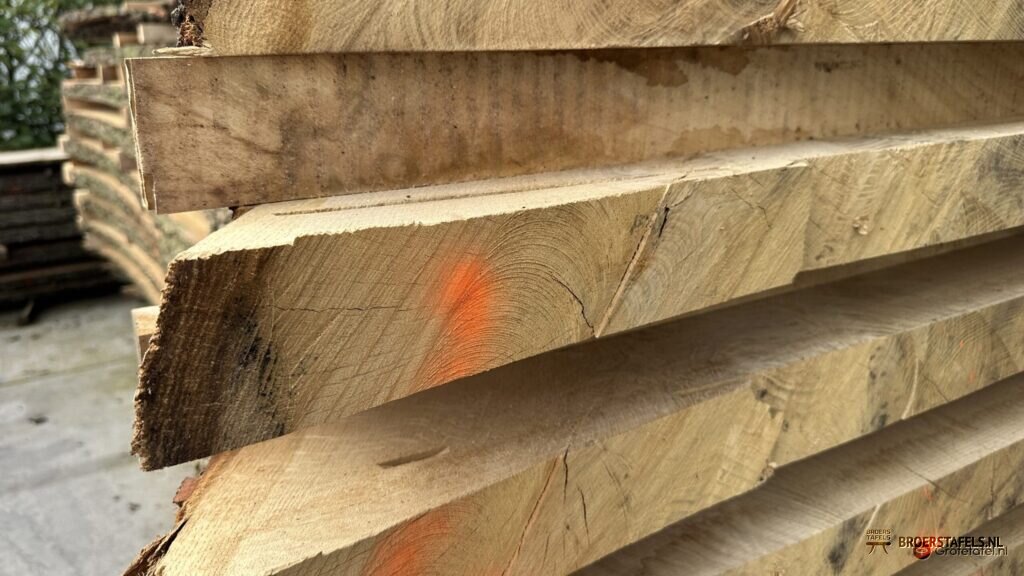 Eiken bladen tot 400cm